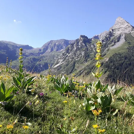 בקתה Chalet De Charme Pyrenees *